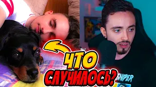 😭КАК УМЕРЛА СОБАКА ЭДИСОНА?