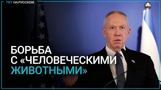 Израиль объявит «тотальную» блокаду Газы в борьбе с «человеческими животными»