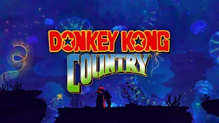 Donkey Kong Country • Cool & Calming Music + Rainstorm 🎧 #tenpers