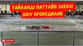 Шоу крокодилов Тайланд! Паттайя 2023! Crocodile show!