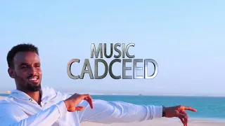 SULDAN SEERAAR - KAL IYO LAAB | OFFICIAL MUSIC VIDEO