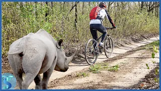 Top 15 animals that attacked cyclists