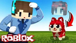 ROBLOX PETAK UMPET TAPI DIKUTUK JADI KUCING IMUT DAN LUCU