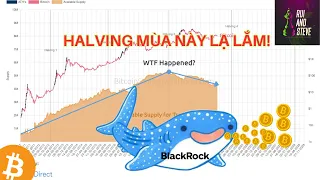 Halving mùa này lạ lắm ! Bitcoin 300k$ ?