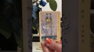 Tarot general + surpriza cărților normale sapt 29 April - 5 Mai 2024 (0723763917)