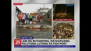 Labi ng Butanding, natagpuang palutang-lutang sa fish port