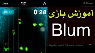 آموزش کامل ربات تلگرامی بلوم ( Blum ) +توضیحات اعتبار سنجی پروژه