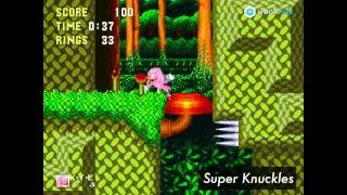 Sonic 3 & Knuckles - All Transformations