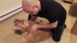Dog Get's Back Cracked... Chiropractor for Dogs