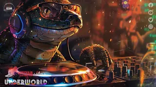 UnderWorld Music Mix 2024 🎧 EDM Remixes of Popular Songs 🎧 EDM Gaming Music Mix