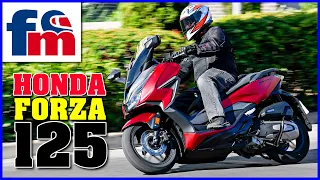 HONDA FORZA 125 - Scooter Premium