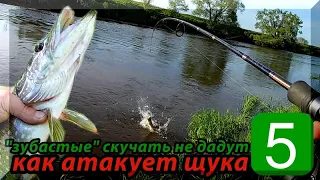 Ловля щуки на воблеры. Щука атакует 5.