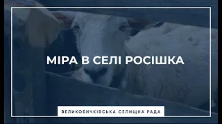 Міра в селі Росішка