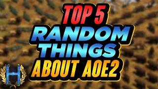 Top 5 Random Things You Probably Didn't Know | AoE2