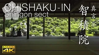 [4K] 智積院 京都の庭園　CHISHAKU-IN The Garden of Kyoto Japan