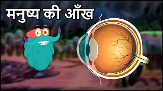 ह्यूमन ऑय | मनुष्य की आँख | Human Eye in Hindi | Dr.Binocs Show | Educational Videos For Kids