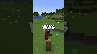 the double jump in minecraft