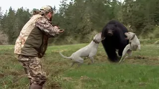 Эти Случаи с Медведями, Лучше не Смотреть Одному