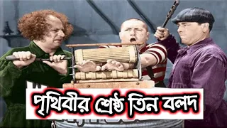 Three Stooges Bangla Funny Dubbing _ পৃথিবীর শ্রেষ্ঠ তিন বলদ _ Little Fun Entertainment