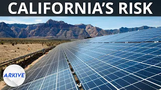 Why California Built The World's Largest Solar Farm