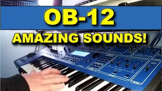 Oberheim OB-12 Demo