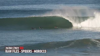 Spiders - Morocco - RAWFILES - 20/DEC/2022 4K