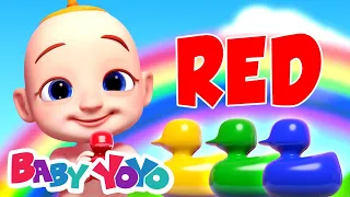 Learn Colors - Rainbow Ducks, Learning Videos for Kids by Baby Yoyo