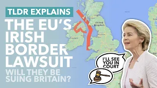 Will the EU take Britain to Court over the Irish Border Dispute? The Conflict Explained - TLDR News