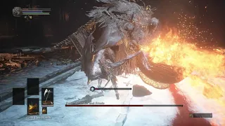 Sister Friede SL1 no roll/block/parry (flawless)