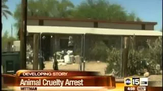 Arizona hoarder arrested, used cats for stew