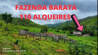 Fazenda em São Félix do xingu Pará. 110 alqueires com metade de pasto 59 km da cidade
