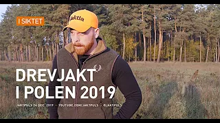 Drevjakt i polen 2019