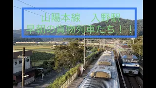 【貨物列車】山陽本線　入野駅大カーブ　早朝のEF210電気機関車