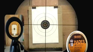 Indoor Target Shooting - JSB Hades .22 Cal Air Gun Pellets