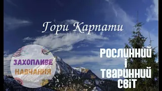 Гори Карпати (Захопливе навчання)