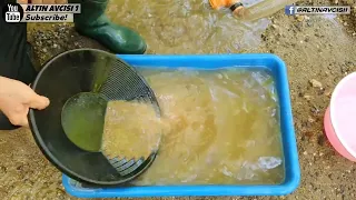 Amazing Gold Search in the Stream, Gold Extraction Process with Sluice Machine