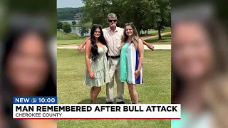 Daughter speaks out after dad dies following bull attack