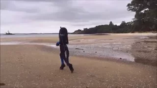 Moondusk at the beach