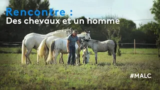 Rencontre : des chevaux et un homme