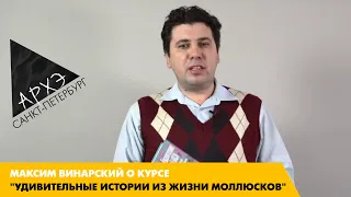 Максим Винарский: Курс "Удивительные истории из жизни моллюсков"