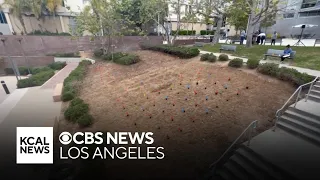 Santa Monica College unveils microforest on campus