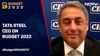"Infrastructure Has A Multiplier Effect": Tata Steel CEO TV Narendran On Budget 2023