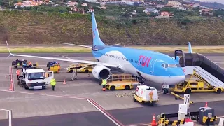 APRON ACTION at MADEIRA AIRPORT (FNC || LPMA) EP. 02 - CALM AFTERNOON