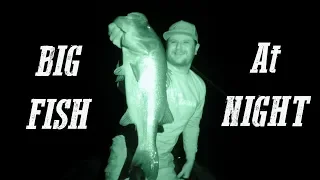 Catching BIG Fish at NIGHT on Swimbaits