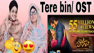 Tere Bin | OST | ft. Yumna Zaidi, Wahaj Ali | Shani Arshad | Har Pal Geo | 7th Sky Entertainment