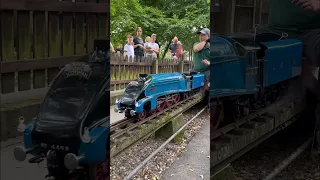 Beautiful live steam 5” gauge LNER Class A4 4468 “Mallard” locomotive. #train #railways #steamloco