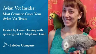 Avian Vet Insider Episode 1: Most Common Cases Your Avian Vet Treats