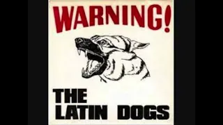 Latin Dogs - Apple Bottom Jeans