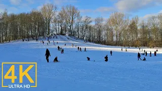 Winter Snow Walk ❄️ in Hamburg, Germany (4K Ultra HD)