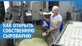 Открыла сыроварню и бросила работу. Как делают ремесленный сыр | NGS.RU